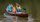 Kanu fahren auf dem Berger See